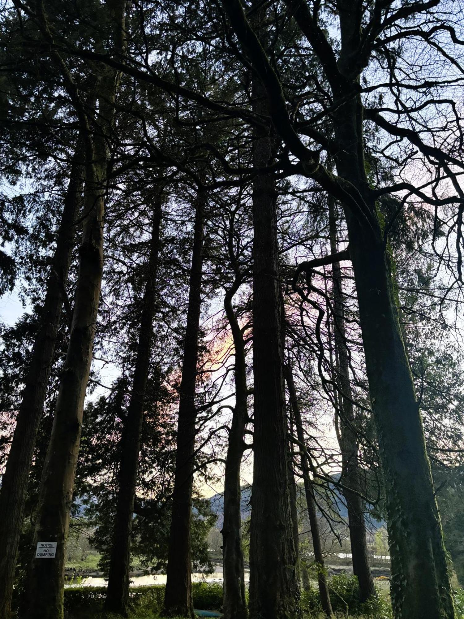 North Lodge Kilmun Esterno foto