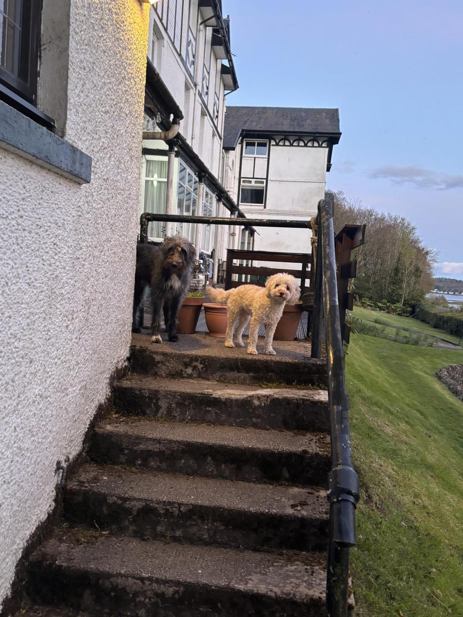 North Lodge Kilmun Esterno foto