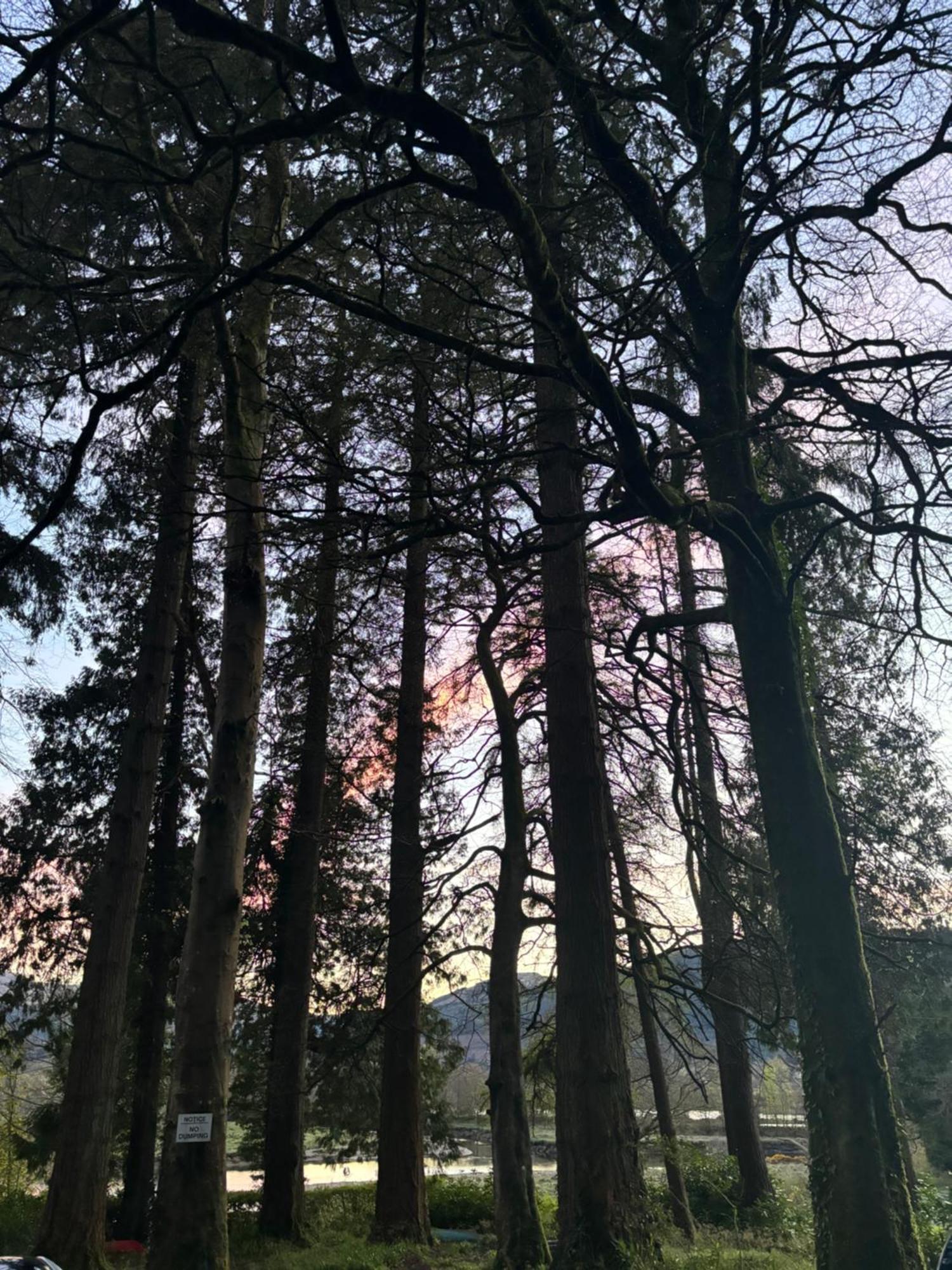 North Lodge Kilmun Esterno foto